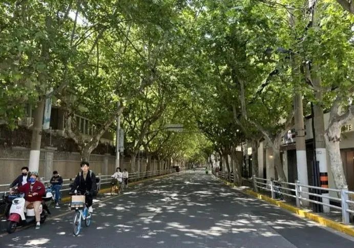 【阅读爱游戏电竞建筑】行走陕西北路沿途建筑中感受老上海的风情与温度